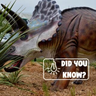 Did you know? Dinosaur skulls usually had big holes that both made them lighter and helped to keep them cool.		#DinoFact #DinoGolf