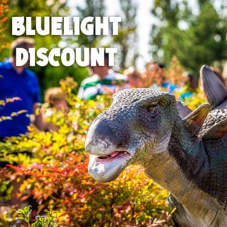 Calling all Emergency Services, NHS staff members & Armed Forces personnel!
Get 10% off with Code: 999!

#mulligans #dinogolf #crazygolf #outdoorcrazygolf #bluelight #bluelightdiscount